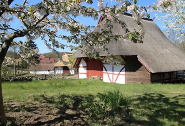 Blick auf das Freilichtmuseum Schwerin Mueß mit seinen historischen Bauernkaten